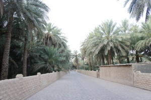 Dattelpalmenoase in Al-Ain