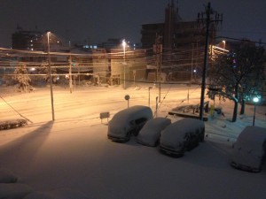 Normal auf Hokkaido - aber ungewöhnlich in Tokyo