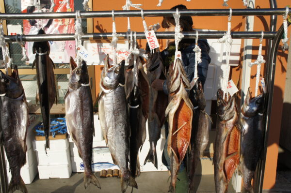 Stockfisch in Tohoku: Mögen sie ihren Fisch leicht oder stark versalzen?