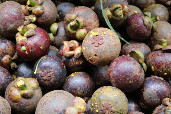Na, wie die wohl schmecken? Aufllösung: Ja, Mangostane sind sehr geniessbar