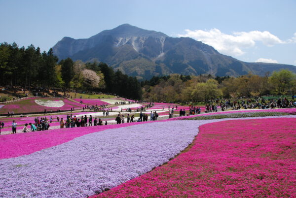 Hitsujiyama Park