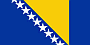 Bosnian Flag