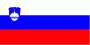 Slovenian Flag