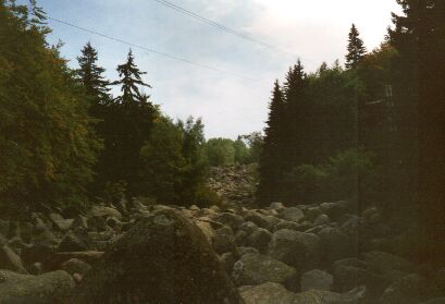 Blockmeer Goldene Brücke im Vitoscha-Gebirge