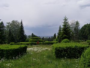 Im Botanischen Garten