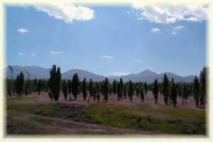 Hochebene bei Erzurum, knapp 2000 m hoch