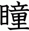 瞳