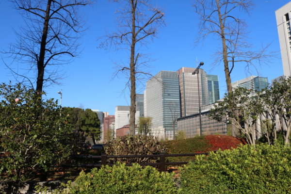 Blick vom Hibiya-Park auf Marunouchi