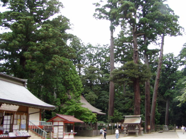 Im Schrein von Kashima