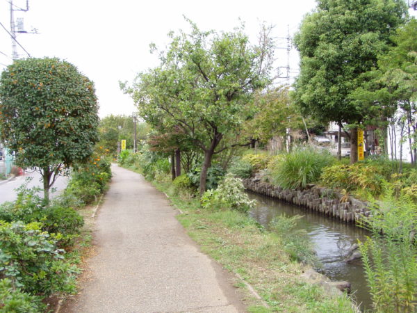 Am Ichinoe-Sakaigawa - der Gesundheitspfad