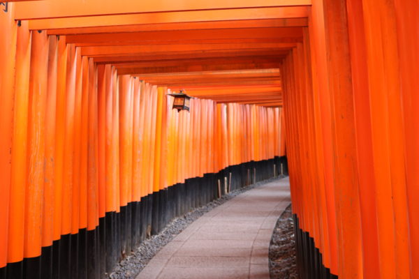 Senbon-Torii - der "Weg der Tausend Torii"