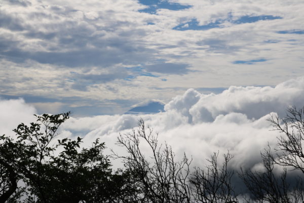 Blick Richtung Fuji-san nahe des Gipfels des Oyama