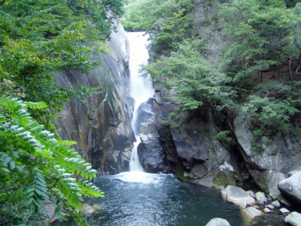 Einer der zahlreichen Wasserfälle