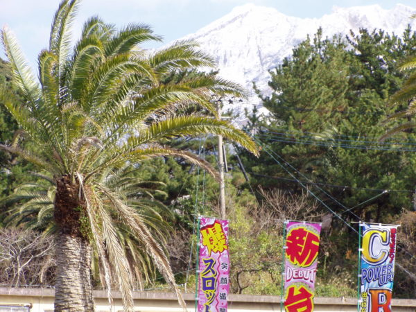 Palmen und schneebedeckte Berge - Sakurajima im Winter