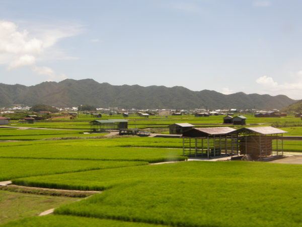 Reisfelder und Berge auf der Insel Awaji