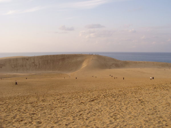 Hauptkamm der Dünen bei Tottori