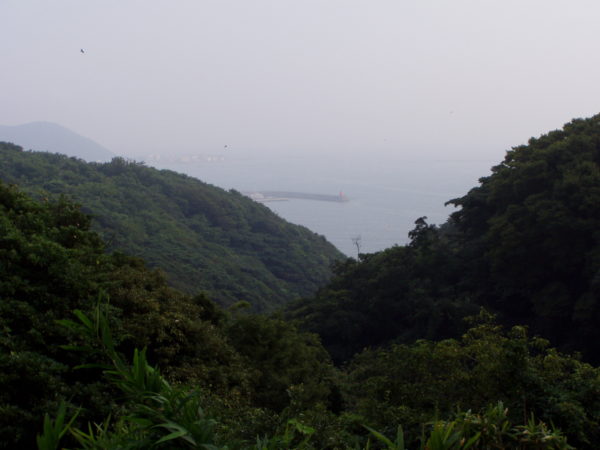 Im Naturschutzgebiet Hirō-san
