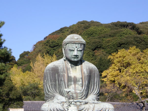 Der 11,5 m hohe, 1252 erbaute Daibutsu (Grosser Buddha) in Kamakura