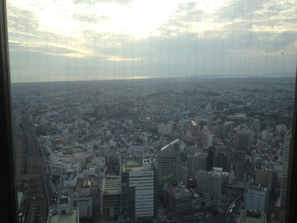 Blick vom Act Tower auf die Stadt