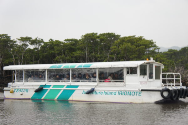 Ausflugsboot in den Mangroven
