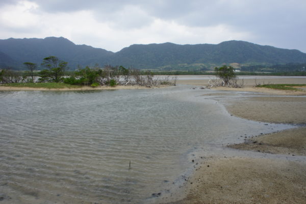 Und der Blick zurück nach Iriomote