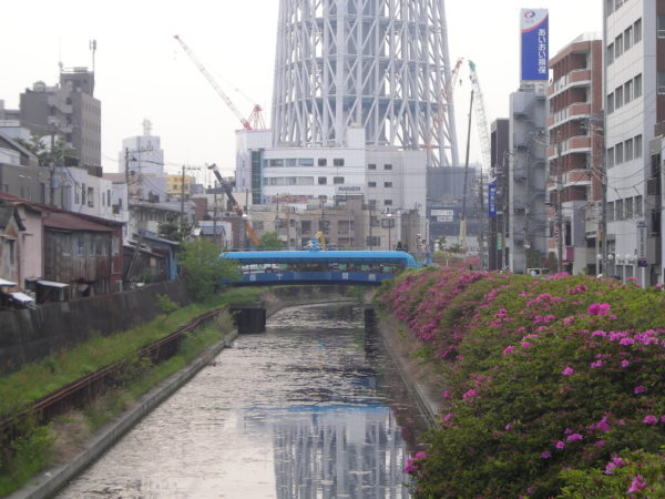 Wirkt wie ein gewaltiger Fremdkörper in Sumida-ku: Der Tokyo Sky Tree
