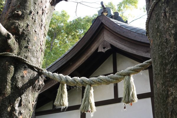 Detailansicht des Miyoshi-no-jinja-Schreins