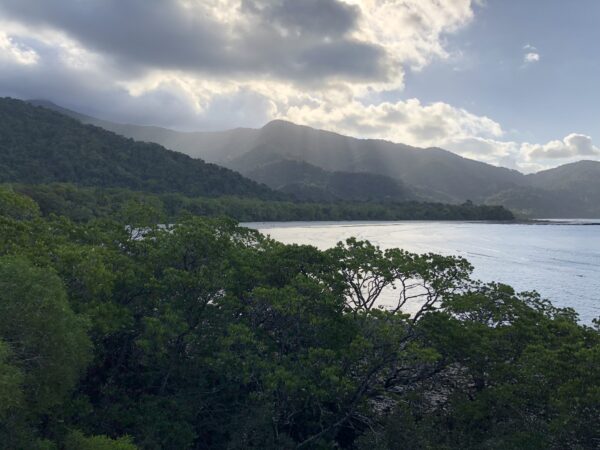 Am Cape Tribulation