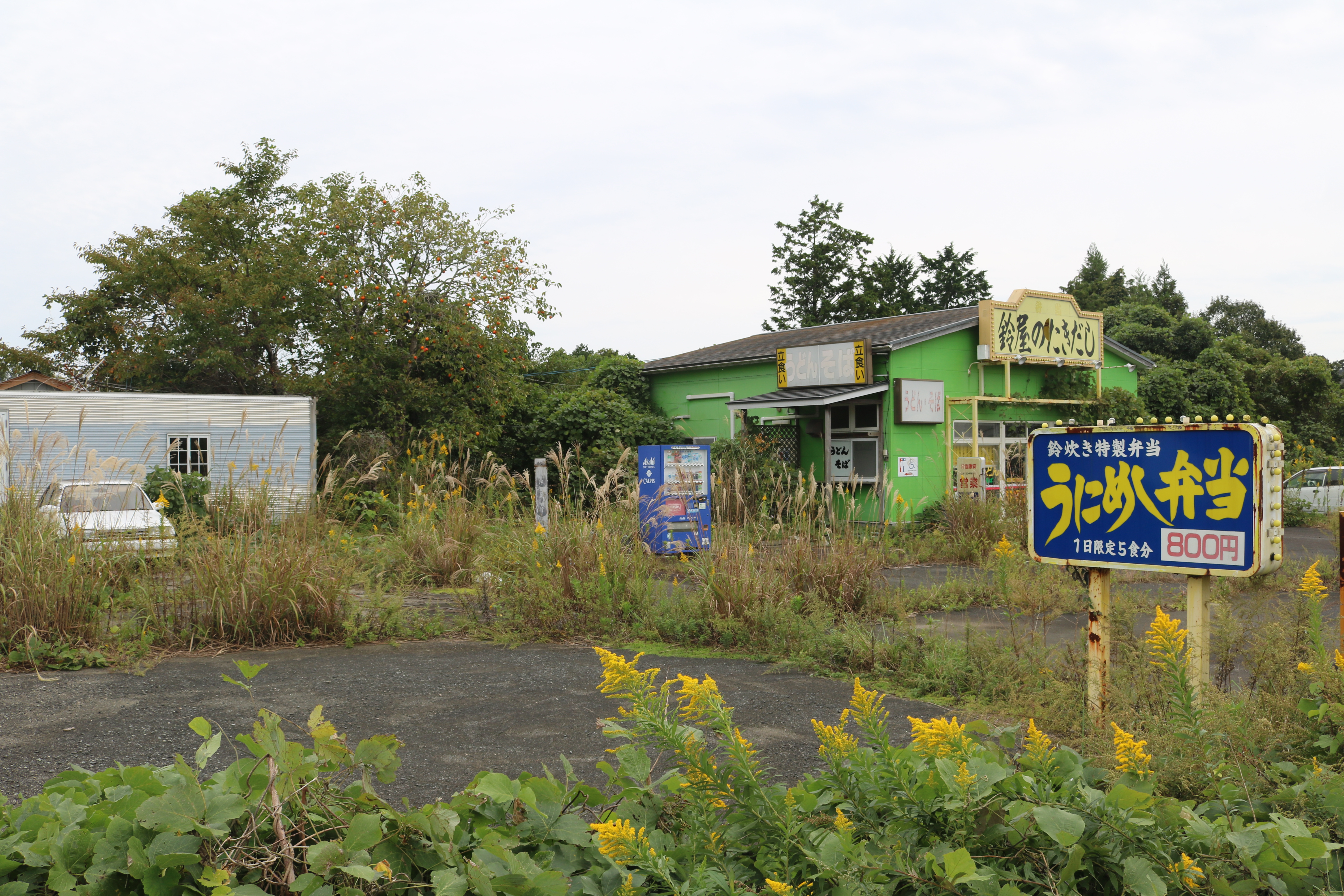 In der Nuklearsperrzone nördlich von Iwaki