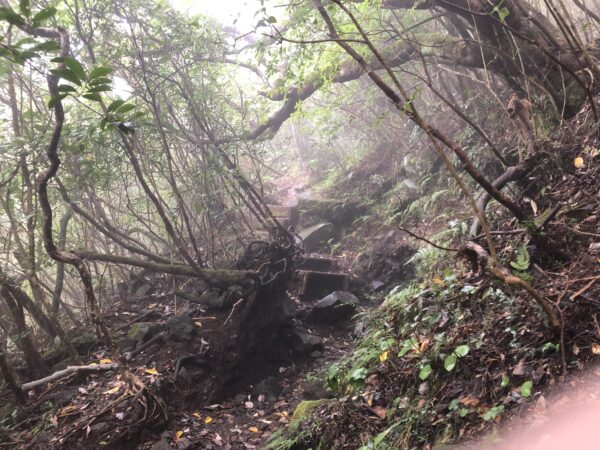 Wanderweg auf den Gipfel