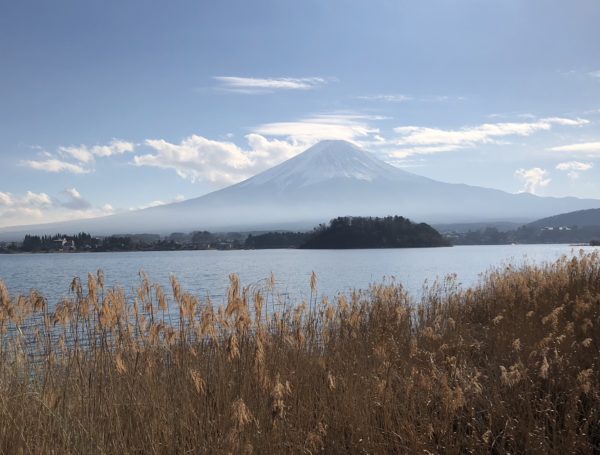 Blick vom Oishi-Park über den Kawaguchi-ko