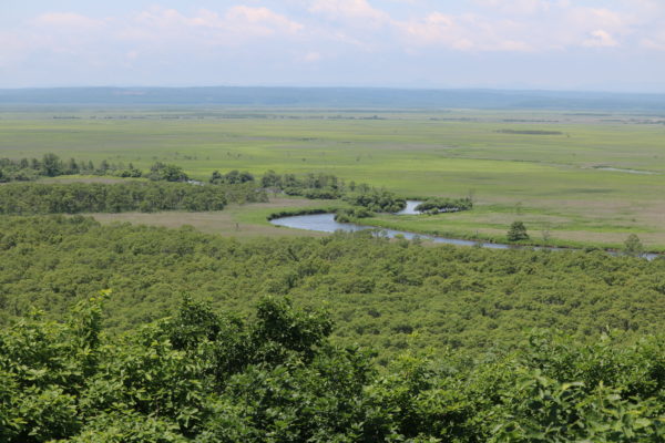 Blick über die Kushiro-Marschlandschaft