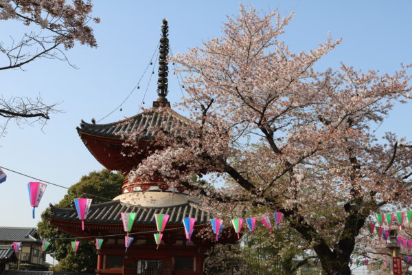 Der Tahōtō ("Viele-Schätze-Turm") wurde im 17. Jahrhundert von der Burg von Edo nach Kawagoe gebracht