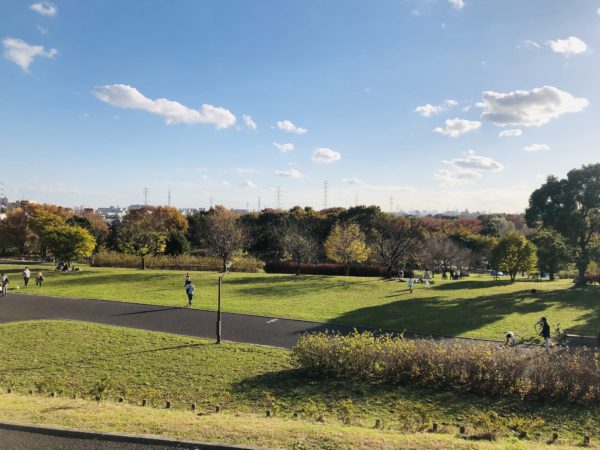 Der geräumige Toneri-Park ist die einzige nennenswerte Erhöhung im Stadtgebiet