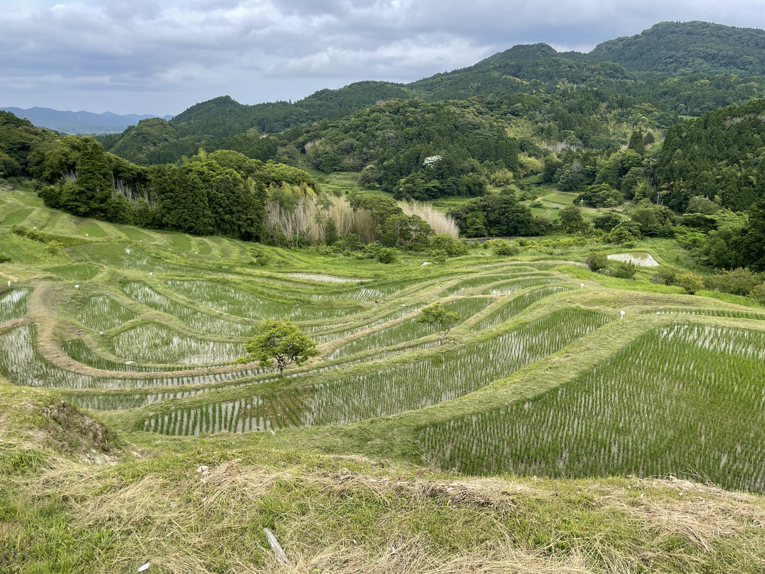 Reisterrassen von Ōyama-Senmaida in der Mitte der Boso-Halbinsel