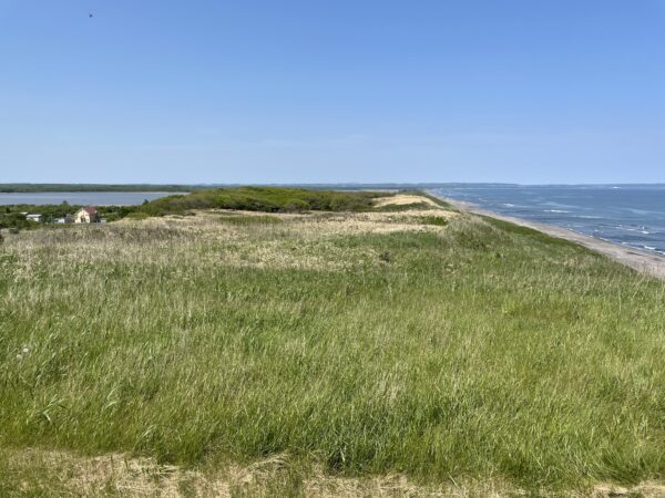 Küste bei Shari. Könnte aber ebenso an der Ostsee sein.