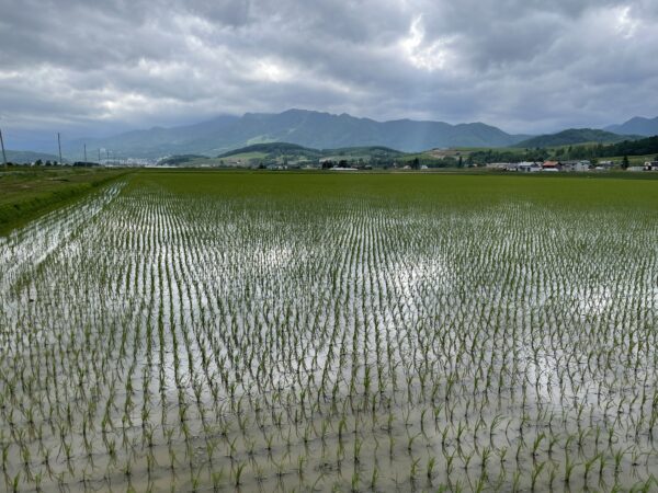 Gegend bei Furano