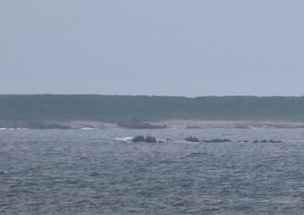 Gestrandetes Schiff (die Insel gehört bereits zu Russland)