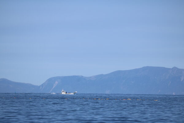 Fischerboot mit der russischen Insel Kunashir im Hintergrund