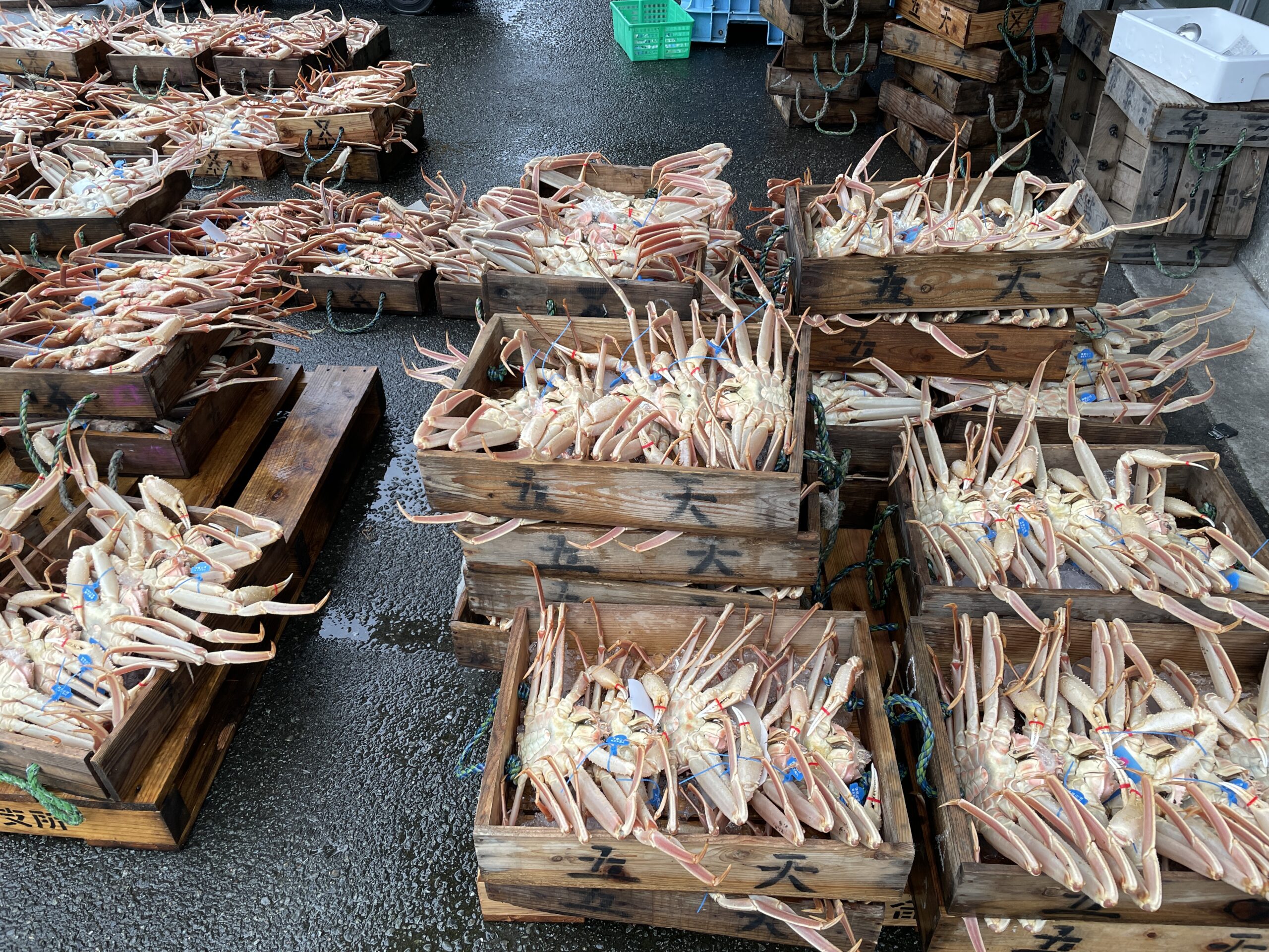 Krabbenhändler in Kinosaki: Von November bis März ist Saison