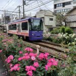 Die einzig verbliebene Straßenbahn von Tokyo fährt quer durch Arakawa-ku