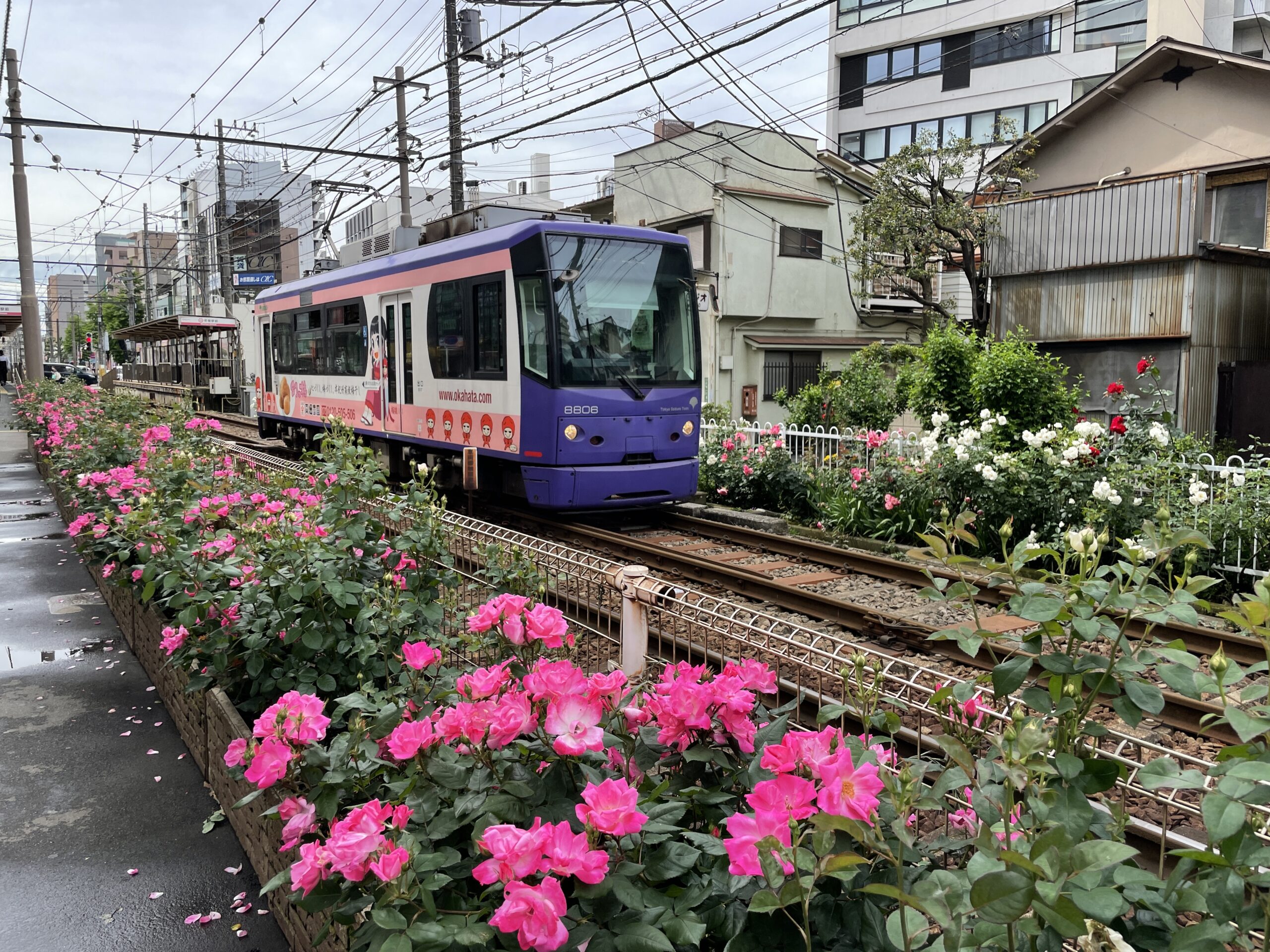 Die einzig verbliebene Straßenbahn von Tokyo fährt quer durch Arakawa-ku