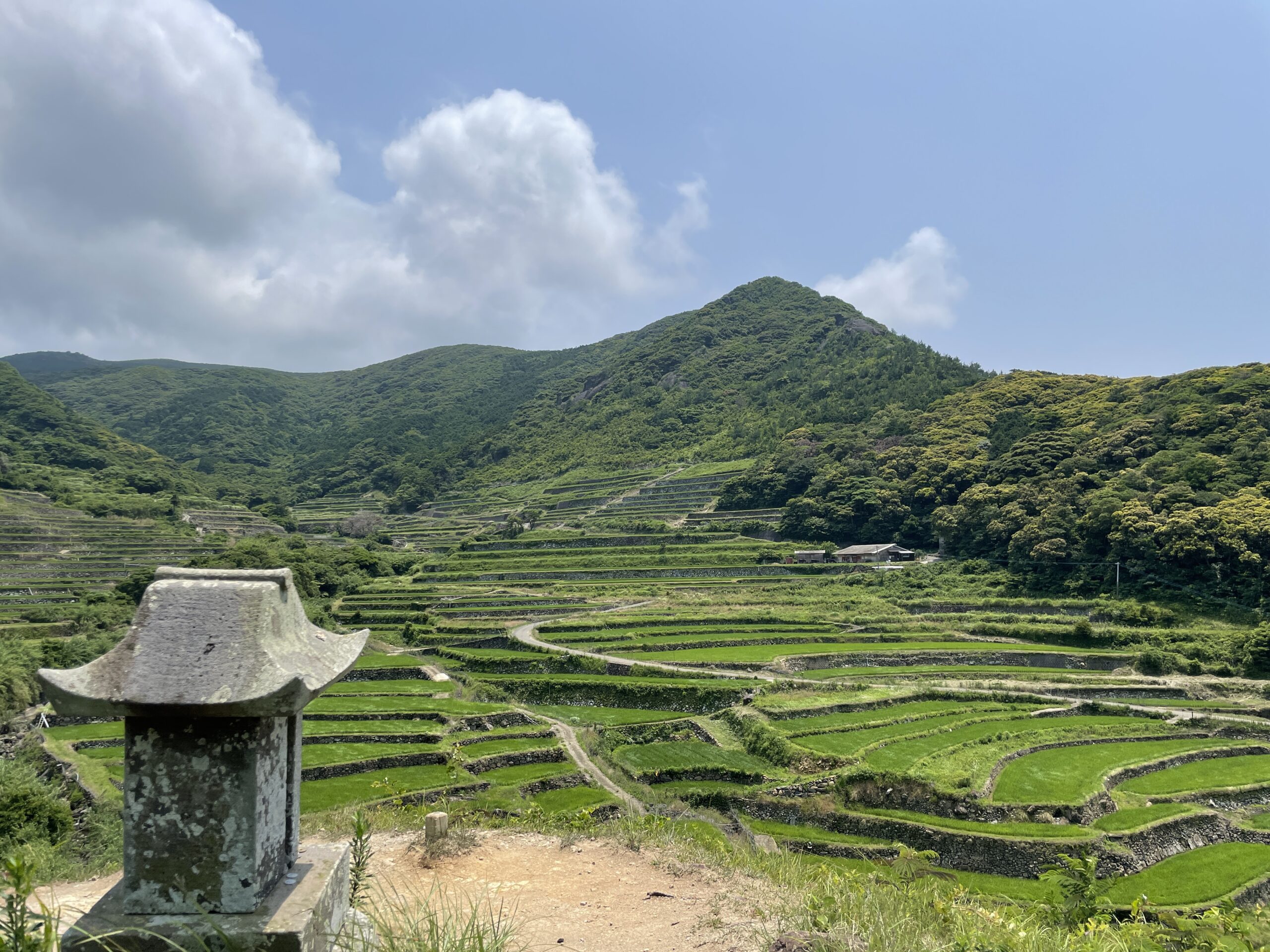 Die Reisterrassen von Kasuga auf der Insel Hirado