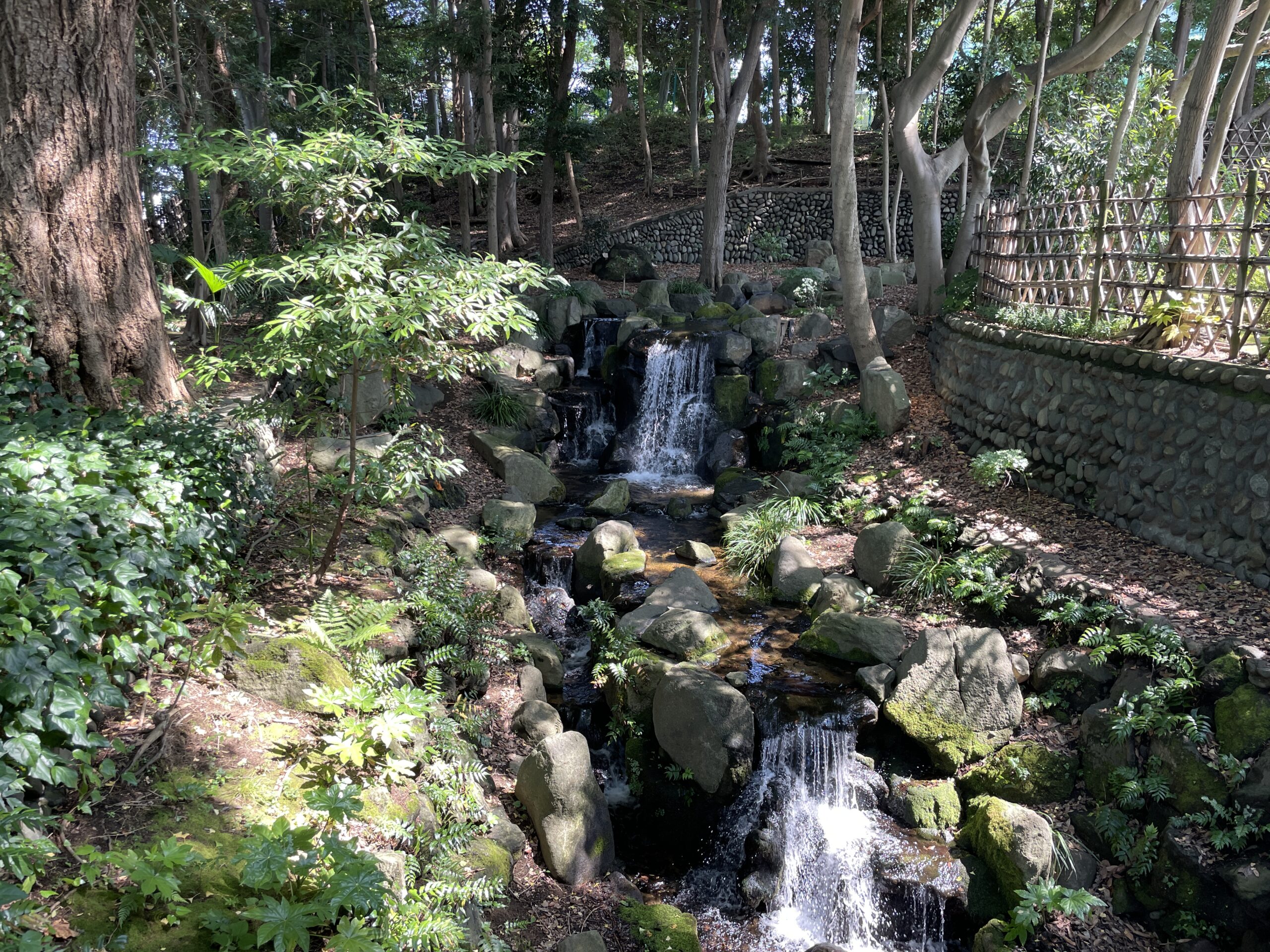 Im Sommer erfrischend: Der kleine Togoshi-Park in Shinagawa-ku