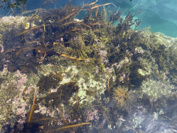 Das Wasser in der Bucht ist unglaublich klar