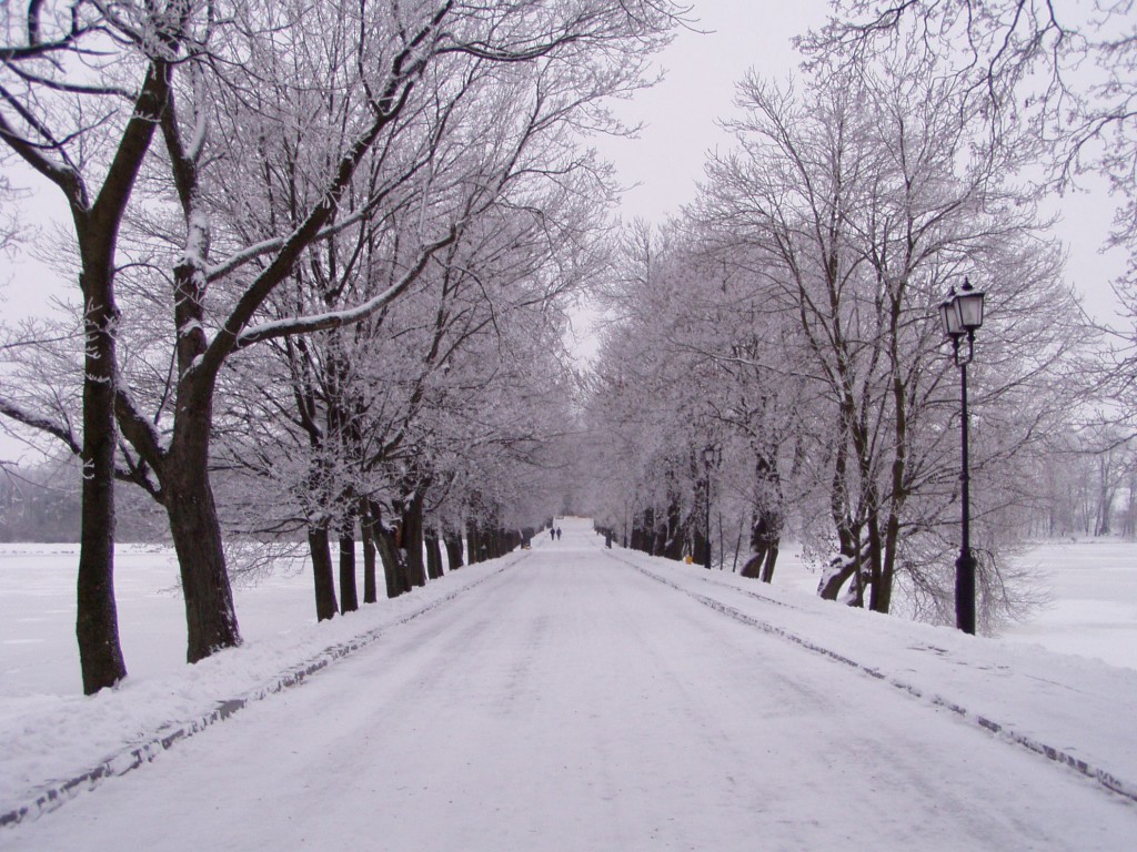 ニャズヴィシュに於ける素晴らしい冬景色