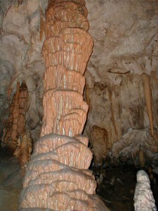 ポストイナ鍾乳洞の石筍