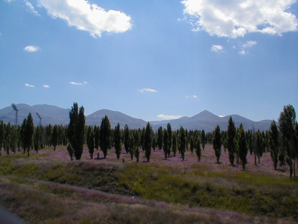Hochebene bei Erzurum, knapp 2000 m hoch