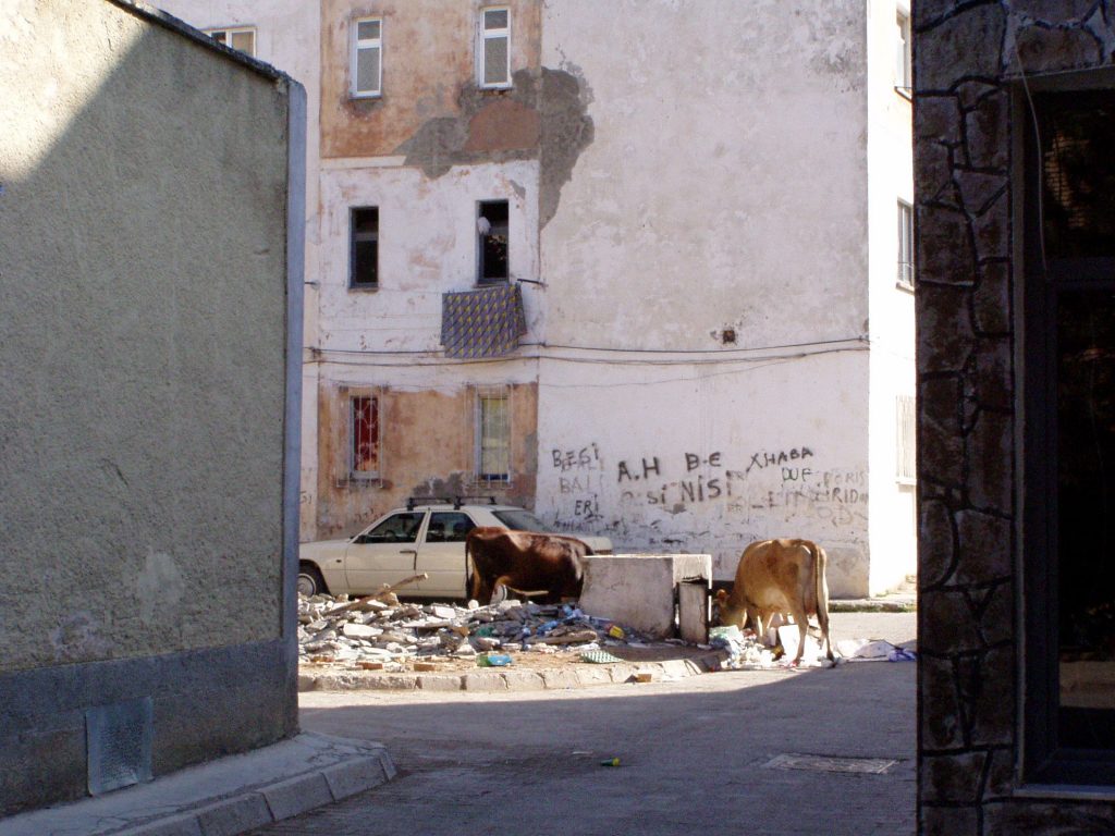 Typischer Anblick in Kukes (inkl. Mercedes)