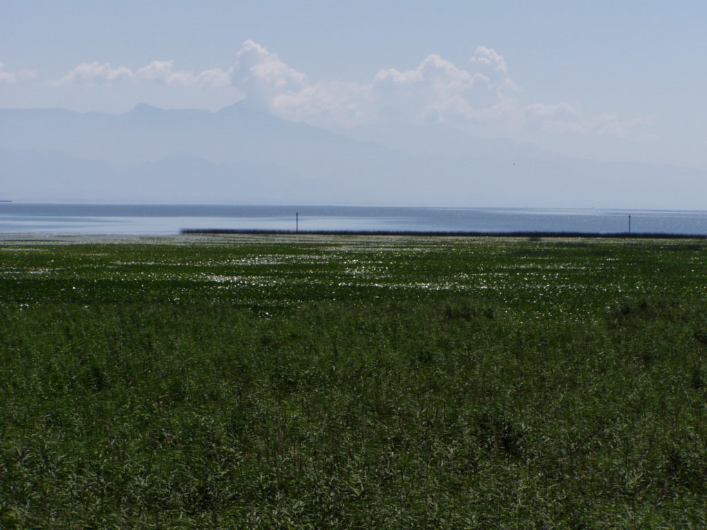 Lake Shkoder - surrounded by mountains
